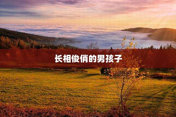 长相俊俏的男孩子