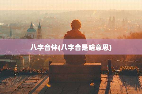 八字合伴(八字合是啥意思)