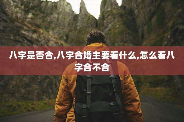 八字是否合,八字合婚主要看什么,怎么看八字合不合