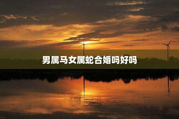 男属马女属蛇合婚吗好吗