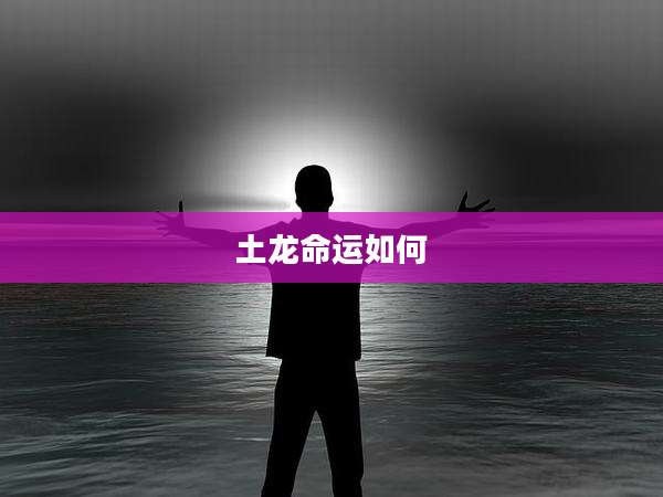 土龙命运如何