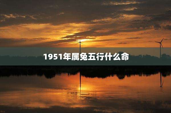 1951年属兔五行什么命