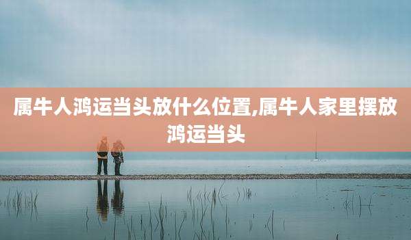 属牛人鸿运当头放什么位置,属牛人家里摆放鸿运当头