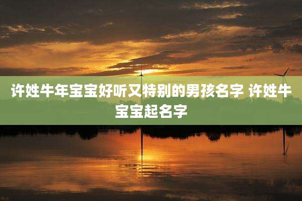 许姓牛年宝宝好听又特别的男孩名字 许姓牛宝宝起名字