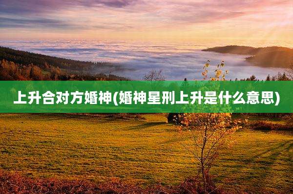 上升合对方婚神(婚神星刑上升是什么意思)