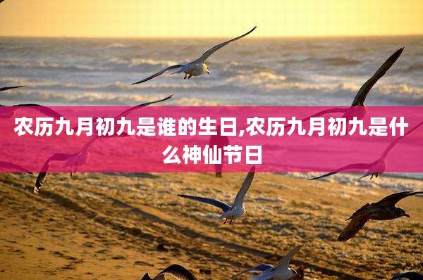 农历九月初九是谁的生日,农历九月初九是什么神仙节日