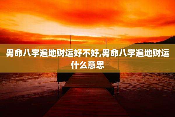 男命八字遍地财运好不好,男命八字遍地财运什么意思