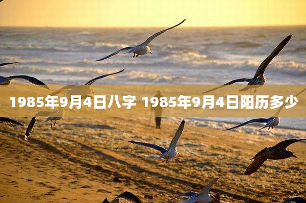 1985年9月4日八字 1985年9月4日阳历多少