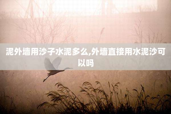 泥外墙用沙子水泥多么,外墙直接用水泥沙可以吗