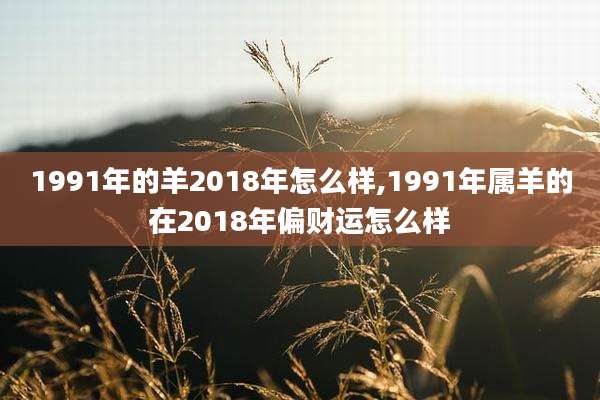 1991年的羊2018年怎么样,1991年属羊的在2018年偏财运怎么样