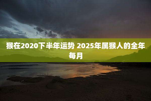 猴在2020下半年运势 2025年属猴人的全年每月