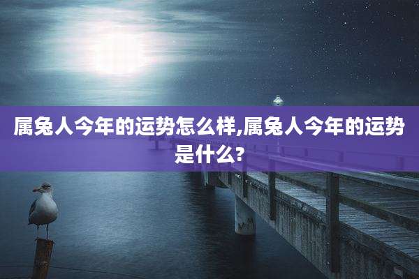 属兔人今年的运势怎么样,属兔人今年的运势是什么?