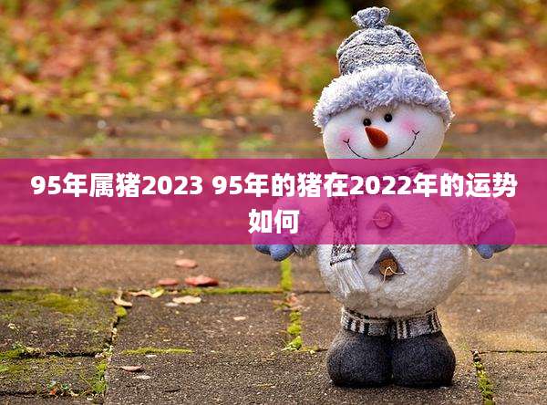 95年属猪2023 95年的猪在2022年的运势如何