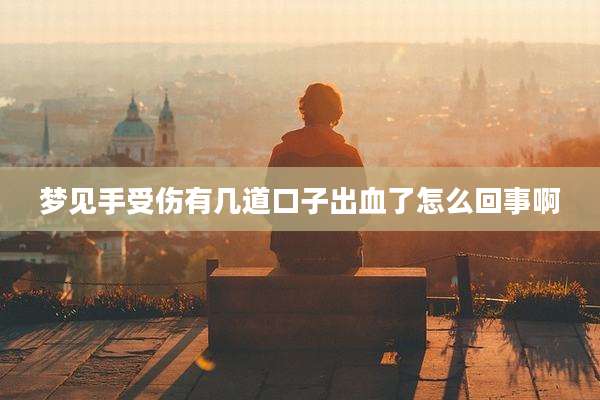 梦见手受伤有几道口子出血了怎么回事啊