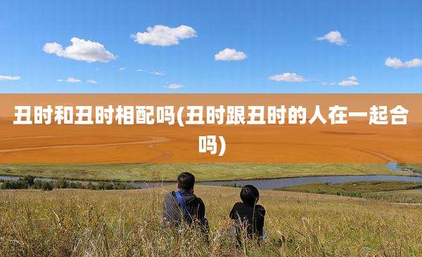 丑时和丑时相配吗(丑时跟丑时的人在一起合吗)