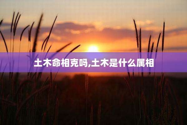 土木命相克吗,土木是什么属相