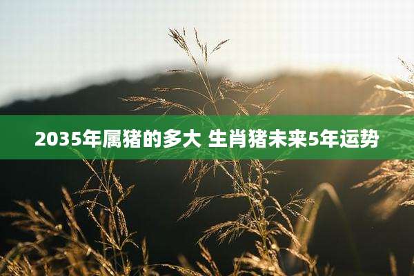 2035年属猪的多大 生肖猪未来5年运势