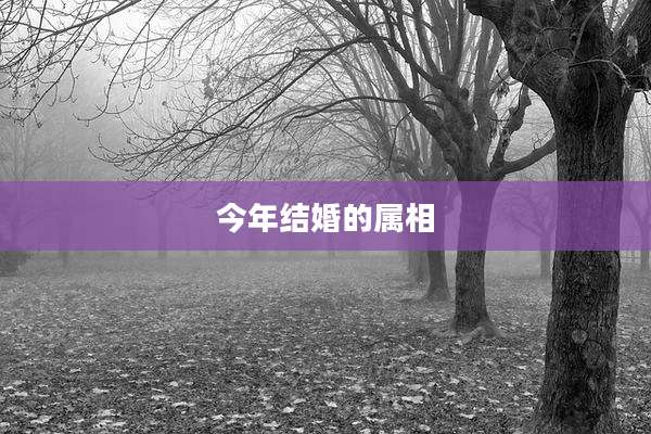 今年结婚的属相