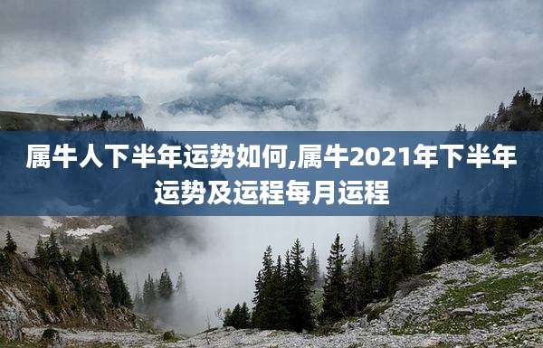属牛人下半年运势如何,属牛2021年下半年运势及运程每月运程