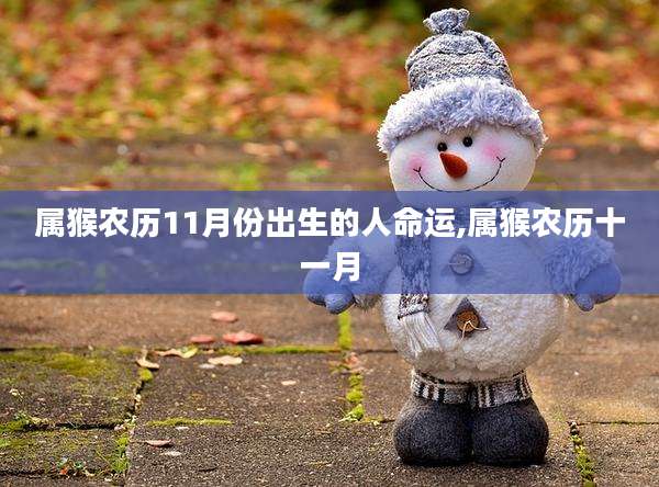 属猴农历11月份出生的人命运,属猴农历十一月