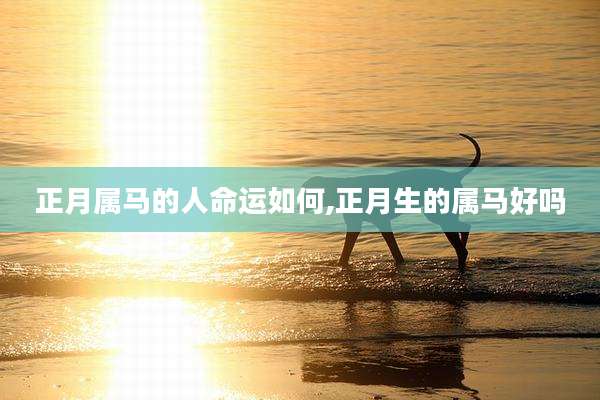 正月属马的人命运如何,正月生的属马好吗