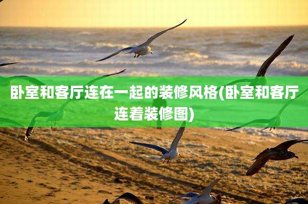 卧室和客厅连在一起的装修风格(卧室和客厅连着装修图)