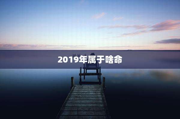 2019年属于啥命