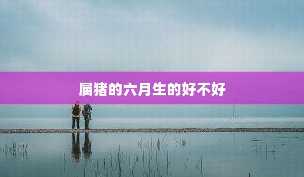 属猪的六月生的好不好