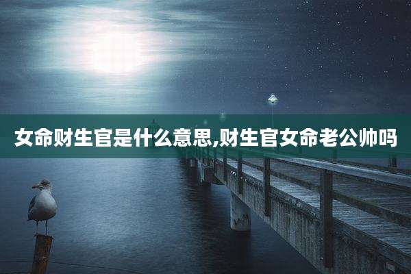 女命财生官是什么意思,财生官女命老公帅吗