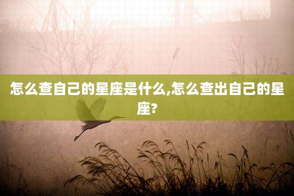 怎么查自己的星座是什么,怎么查出自己的星座?
