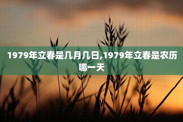 1979年立春是几月几日,1979年立春是农历哪一天