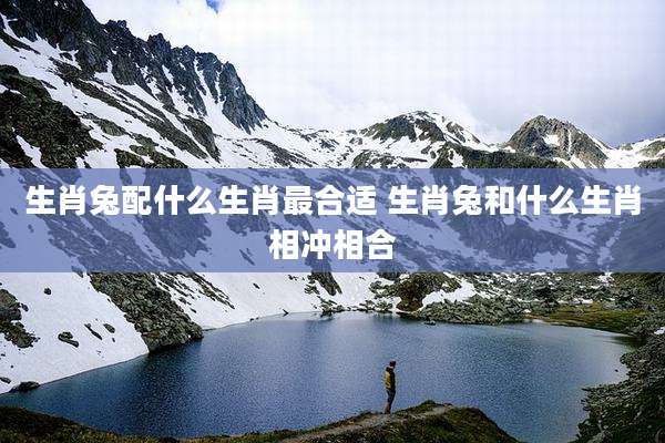 生肖兔配什么生肖最合适 生肖兔和什么生肖相冲相合