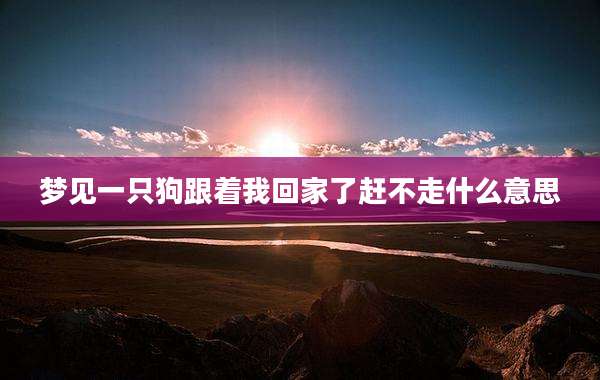 梦见一只狗跟着我回家了赶不走什么意思