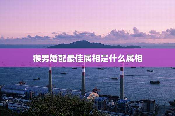 猴男婚配最佳属相是什么属相
