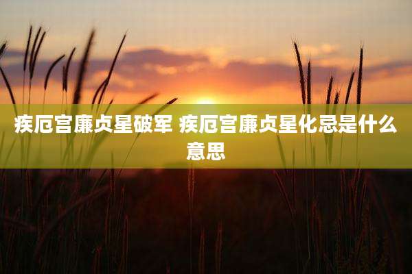 疾厄宫廉贞星破军 疾厄宫廉贞星化忌是什么意思