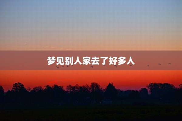 梦见别人家去了好多人