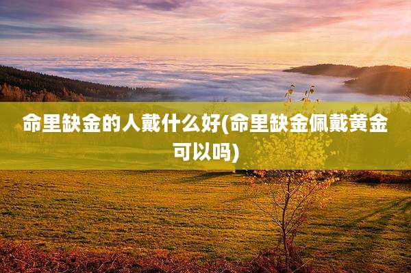 命里缺金的人戴什么好(命里缺金佩戴黄金可以吗)