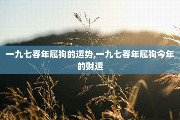 一九七零年属狗的运势,一九七零年属狗今年的财运
