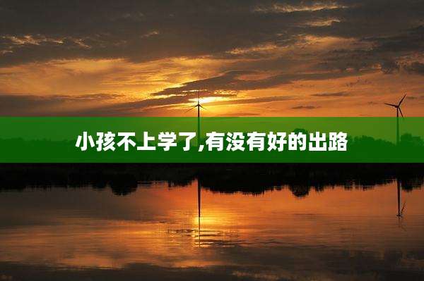 小孩不上学了,有没有好的出路