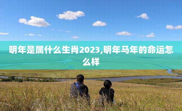 明年是属什么生肖2023,明年马年的命运怎么样
