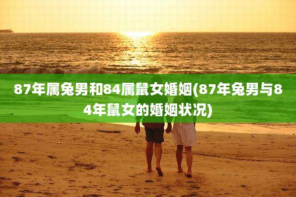 87年属兔男和84属鼠女婚姻(87年兔男与84年鼠女的婚姻状况)
