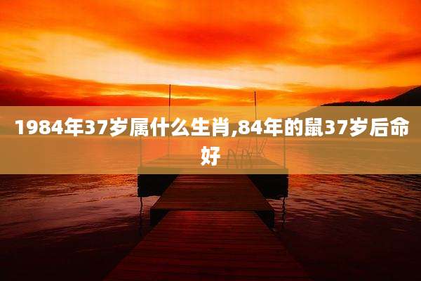 1984年37岁属什么生肖,84年的鼠37岁后命好