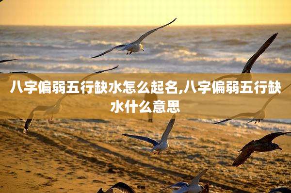 八字偏弱五行缺水怎么起名,八字偏弱五行缺水什么意思