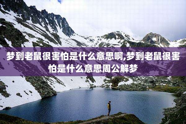 梦到老鼠很害怕是什么意思啊,梦到老鼠很害怕是什么意思周公解梦