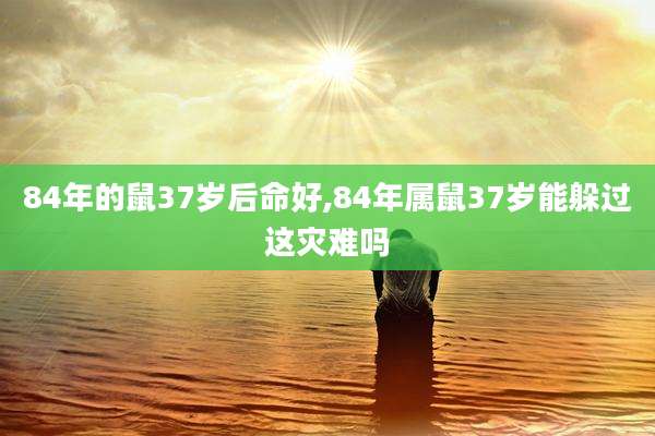 84年的鼠37岁后命好,84年属鼠37岁能躲过这灾难吗