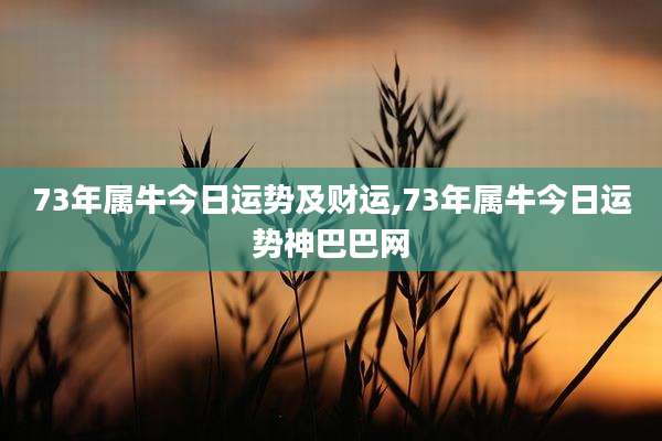 73年属牛今日运势及财运,73年属牛今日运势神巴巴网