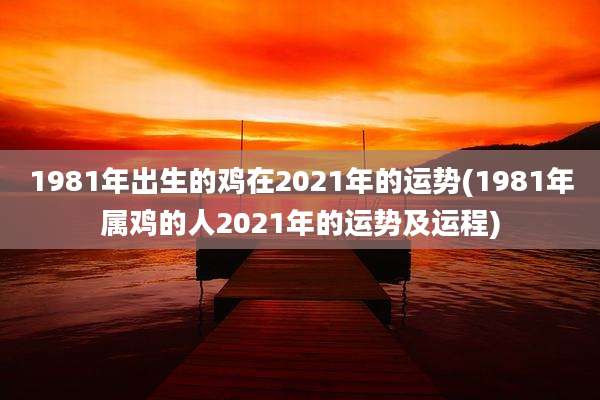 1981年出生的鸡在2021年的运势(1981年属鸡的人2021年的运势及运程)