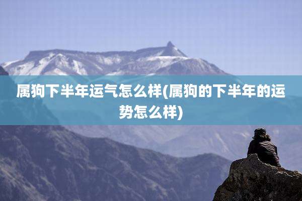属狗下半年运气怎么样(属狗的下半年的运势怎么样)