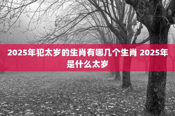 2025年犯太岁的生肖有哪几个生肖 2025年是什么太岁