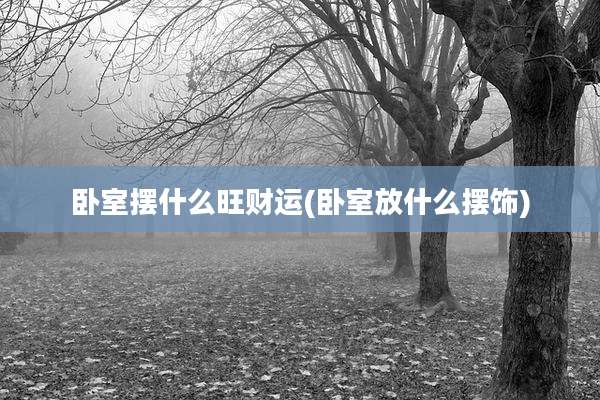 卧室摆什么旺财运(卧室放什么摆饰)